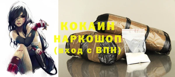 СК Вязьма