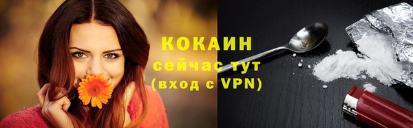 дживик Нея