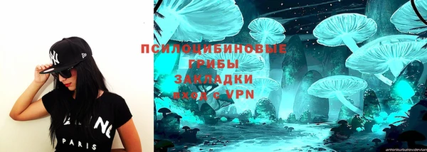 дживик Нея
