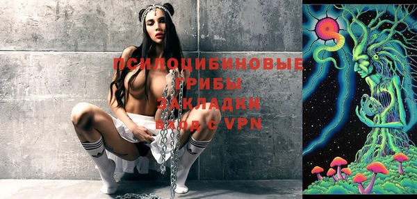 СК Вязьма