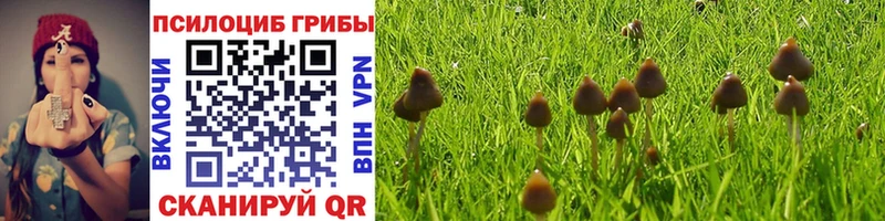 Псилоцибиновые грибы прущие грибы  Новая Ляля 